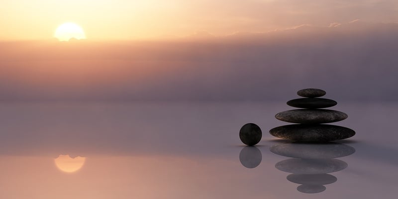 Harmony in Nature
